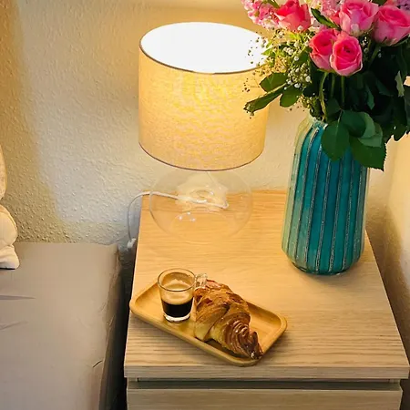 Daire Modern Loft Basel Airport Artbasel