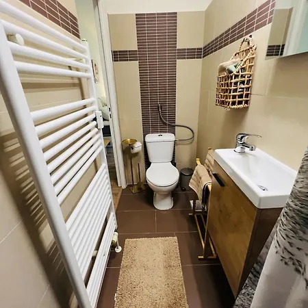 Modern Loft Basel Airport Artbasel