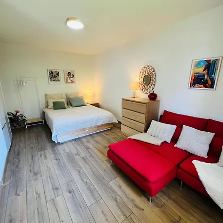 Modern Loft Basel Airport Artbasel Daire