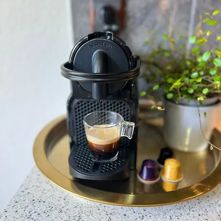 Daire Modern Loft Basel Airport Artbasel Saint-Louis (Haut-Rhin)