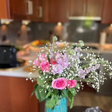 Modern Loft Basel Airport Artbasel *