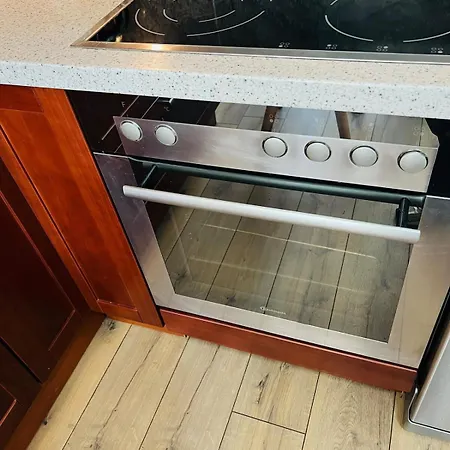 Modern Loft Basel Airport Artbasel Daire