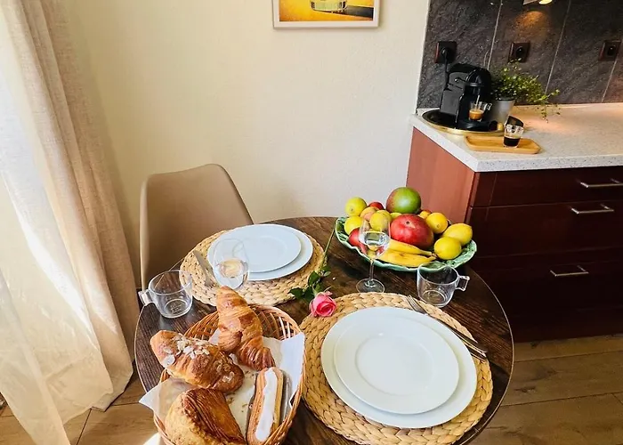 Apartment Modern Loft Basel Airport Artbasel *